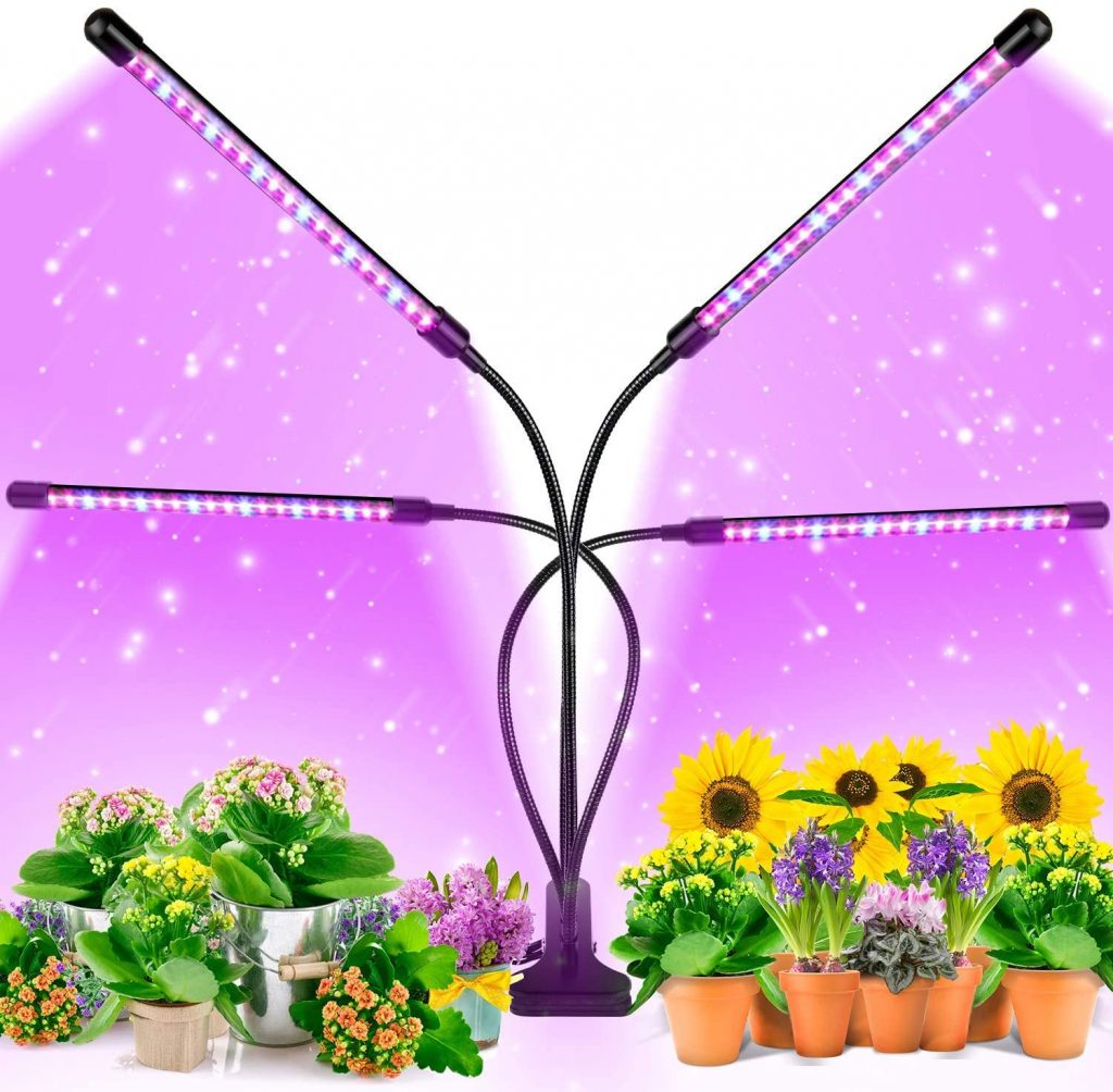 plant lights idea for gift on father's day